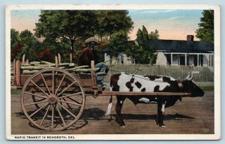 Postcard De Rehoboth Beach Ox Pulled Wagon Rapid Transit In Rehoboth 1917 U8