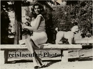 Abbe Lane,  Us Singer And Actress With Her Poodle,  Photo,  1958