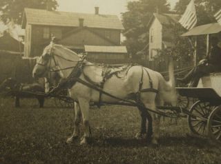 ca.  1908 RPPC Greenville,  PA Coal & Ice Company Horse - Drawn Ice Wagon w/ Clowns 5