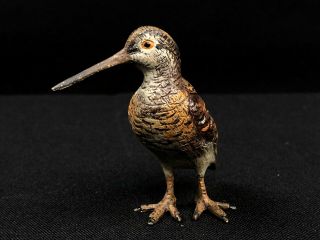 Magnificent Antique Austrian Vienna Bronze Cold Painted Humming Bird