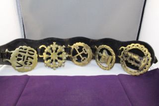 Set Of 5 Horse Brass On Leather Martingale Victorian Vr 1870 & Club Clover Incl