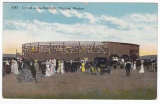 Tijuana Mexico - Crowd At Bullfight - Postcard