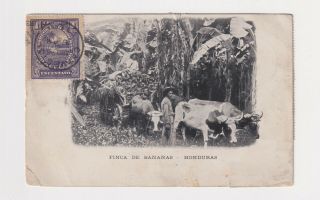 Honduras Finca De Bananas Ten Un Centavo Stamps 1913 To Dr.  Windmueller,  Chicago