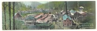 Richwood Wv Mozzer Tannery Antique Panorama Postcard