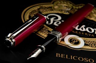 Waterman Exception Raspberry Red And Silver Fountain Pen 18k Medium (m) Nib ✒️