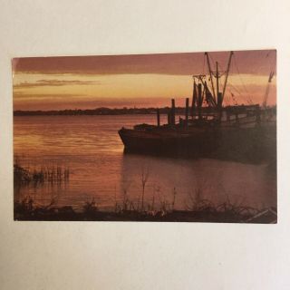 Sunset Beaufort River Beaufort South Carolina Unposted Postcard