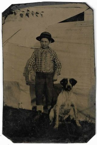 Outdoor Tintype Photograph Small Boy With His Prized Pointer Hunting Dog