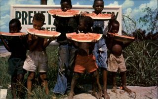 Black Americana Children Eating Watermelon Down South 1970s Postcard