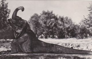 1965 Brontosaurus Sculpture In Saki Dinosaur Paleontology Old Russian Postcard