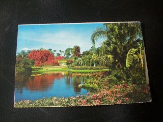 Vintage Postcard - Cypress Gardens,  Florida - 1972
