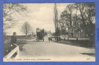England Peterborough Old Toll House,  Thorpe Road,  Horse Drawn Carriage Postcard