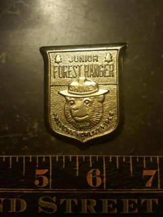 Vintage Junior Forest Ranger Smokey The Bear Prevent Forest Fires Badge/ Pin