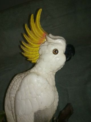 1980 Burwood Parrot Wall Plaque,  Very Colorful - 20 Inches Tall