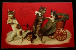 Postcard 203 Germany Cats Pull Cart Dark Red Wishing You Every Joy And Blessing
