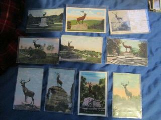 Postcards; Elks Monuments In Cemeteries,  Parks Etc Around The Country