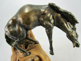 Antique Solid Bronze Wild Mustang Horse Sculpture on Natural Burl Wood Stand 2
