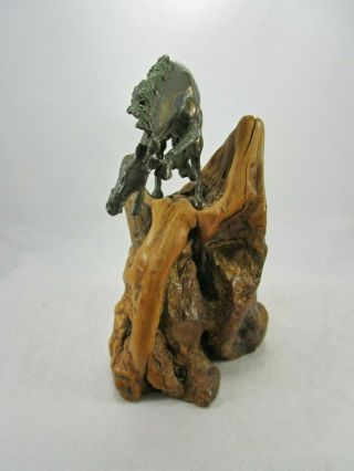 Antique Solid Bronze Wild Mustang Horse Sculpture on Natural Burl Wood Stand 6