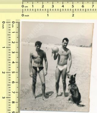 Two Shirtless Guys With Dog On Beach Men Trunks Bulge Gay Int Old Photo