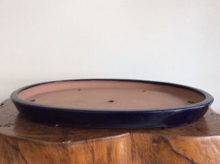 Japanese Bonsai Pot Singed 黎鳳 / 瑠璃切立楕円鉢 / W 40× D27× H 3.  5 [cm] 1.  53kg