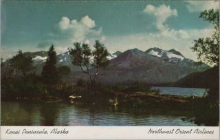 (m633) Vintage Color Postcard,  Rppc,  Kenai Peninsula,  Northwest Orient,  Alaska