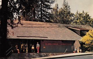 Mill Valley Public Library Throckmorton Ave Marin County,  Ca 1966 Postcard