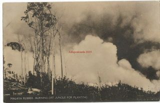 Malaysia Malaya Rubber Burning Off Jungle For Planting Vintage Postcard 1.  5.  2