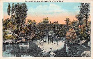 Vtg Postcard Vine Arch Bridge Swans Boys Central Park York City Ny Nyc B35