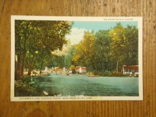 Vintage Postcard Schimmer 