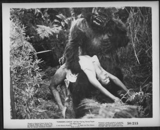 Forbidden Jungle B&w Movie Still Vintage 50/215