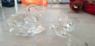 Swarovski Crystal Swan And Clam Figures