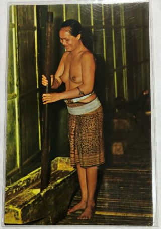 Upp92 A Sea Dayak Maiden Kuching/sarawak Post Card