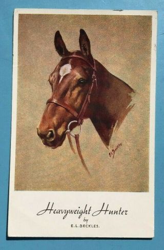 Old Horse Art Postcard