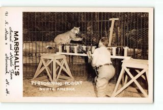 Merrimack Hampshire Nh Rppc Real Photo 1945 - 1950 Marshalls Performing Bobcat