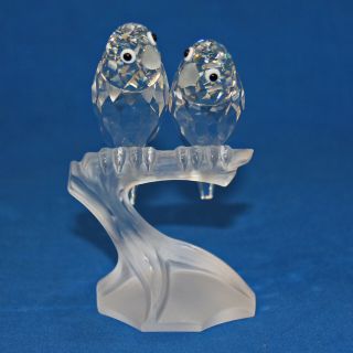 Swarovski Crystal Figurine 013560 Ln Box Lovebirds Togetherness