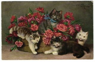 Sperlich 4 Cats Kittens In Flower Basket Cute Old Artist Signed Postcard