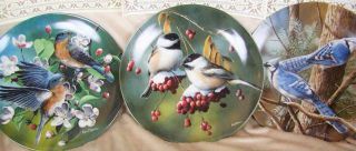 Set Of 3 " Birds Of Your Garden " Series Plates Boxed With Cert Of Authenticity 2