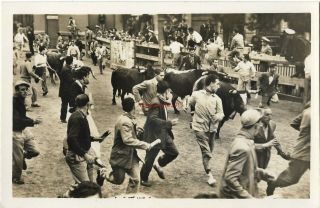 Spain Pamplona Driving Bulls Into Pen Fold Real Photo Vintage Postcard 24.  4