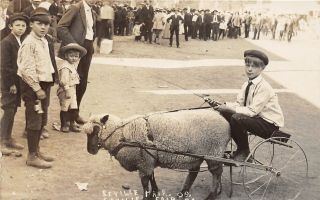 F51/ Seville Medina County Ohio Rppc Postcard 1909 Fair Sheep Cart Child 1