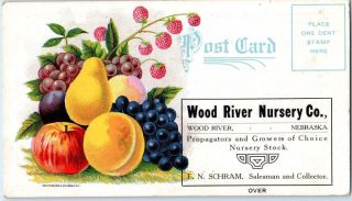 Wood River,  Ne Nebraska Wood River Nursery Co.  C1900s Advertising Postcard