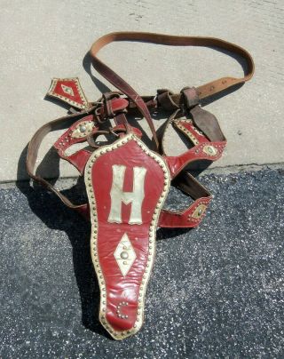 Very Rare Vintage Circus Elephant Leather Harness - Hagan - Wallace Shows