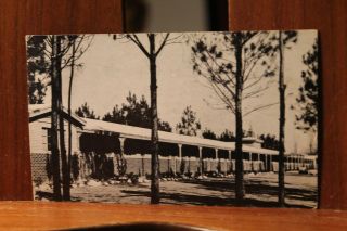 Vintage Postcard 1956 Pine Lake Motel Montgomery,  Ala