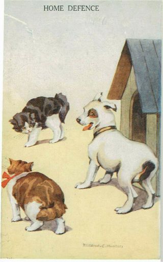 Mildred C Hunter Artist Signed Old Postcard Cats & Dog Home Defence Photochrom