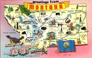 Montana Map State Meadowlark Flower Bitter Root Flag 1960s