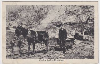 Kentucky Mule Mining Coal Posted 1911 To William Covington Of Danville,  Virginia