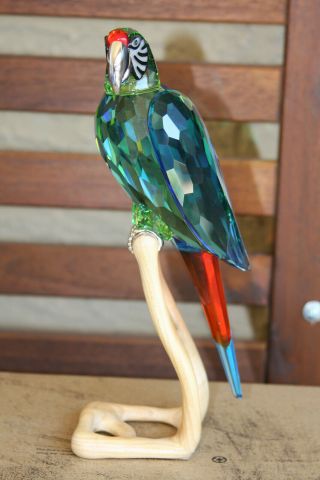 Swarovski Crystal Macaw Chrome Green Mib/coa Retired 2011