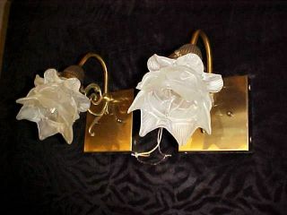Vintage Wall Sconces Light Fixtures With Satin Glass Rose Flower Petal Shades