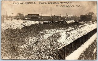 1923 Riverdale,  Illinois Rppc Photo Postcard " Pile Of Beets - Pope Sugar "