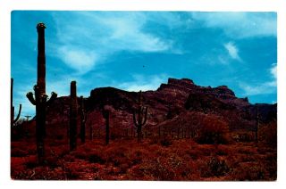 Superstition Mountain Arizona Postcard On Apache Trail Highway 88 Vintage Cactus