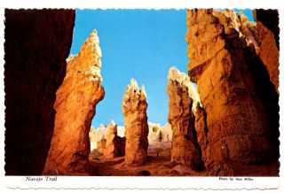 Navajo Trail Bryce Canyon National Park Utah Vintage Postcard Cliffs Pinnacles