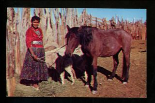 Native Americana Vintage Postcard Navajo Indian Alice Yazzi W/ Horse In Arizona